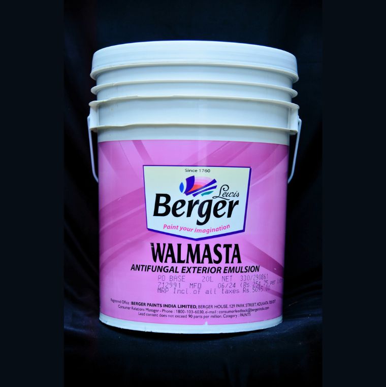 Berger Walmasta Antifungal Exterior Emulsion